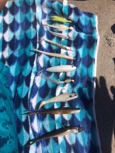 early spring selection